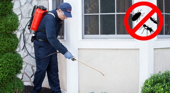 Kiğı Sivrisinek İlaçlama böcek ilaçlama ve haşere kontrolü — ilaclama-tr.com